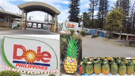 dole philippines polomolok|DOLE PHILIPPINES, INC. Company Profile .